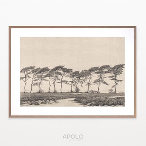 May include: A black and white line drawing of a row of trees in a landscape. The trees are tall and slender with branches that reach up towards the sky. The drawing is done in a minimalist style, with simple lines and shading.
