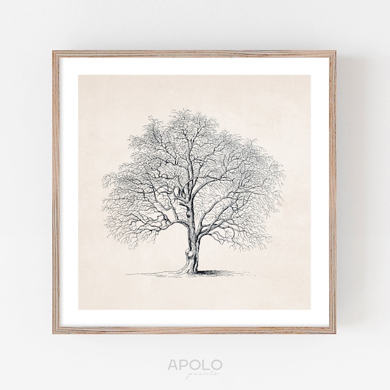 Kate and Laurel Minimalist Evergreen Trees Sketch by The Creative Bunch  Studio Framed Nature Canvas Wall Art Print 30.00 in. x 30.00 in. 223146 -  The Home Depot