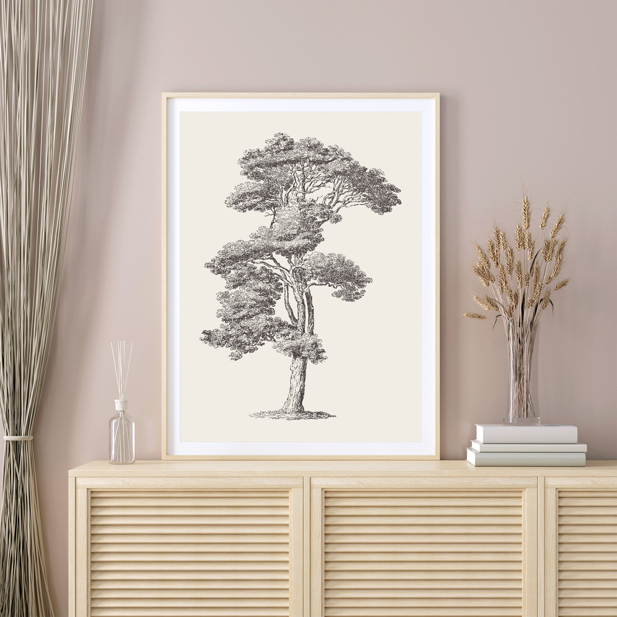 Loblolly Pine Tree Sketch Print, Vintage Botanical Drawing Enhanced ...