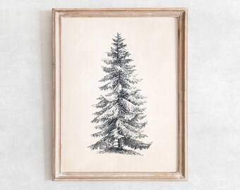 Serbian Spruce Printable Tree Sketch, Vintage Tree Drawing Enhanced, Downloadable Wall Art, Digital Print