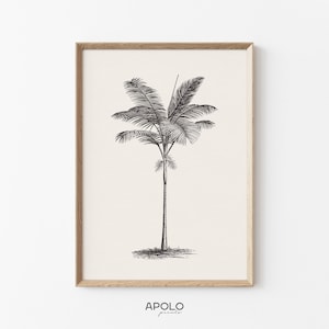 Palm Tree Sketch no. 2, Printable Vintage Tree Drawing Enhanced, Botanical Neutral Wall Art