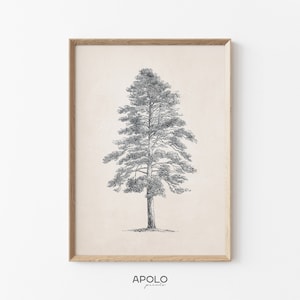 Hemlock Tree Sketch Print, Printable Tree Art, Vintage Tree Drawing Enhanced, Farmhouse Decor, Downloadable Art