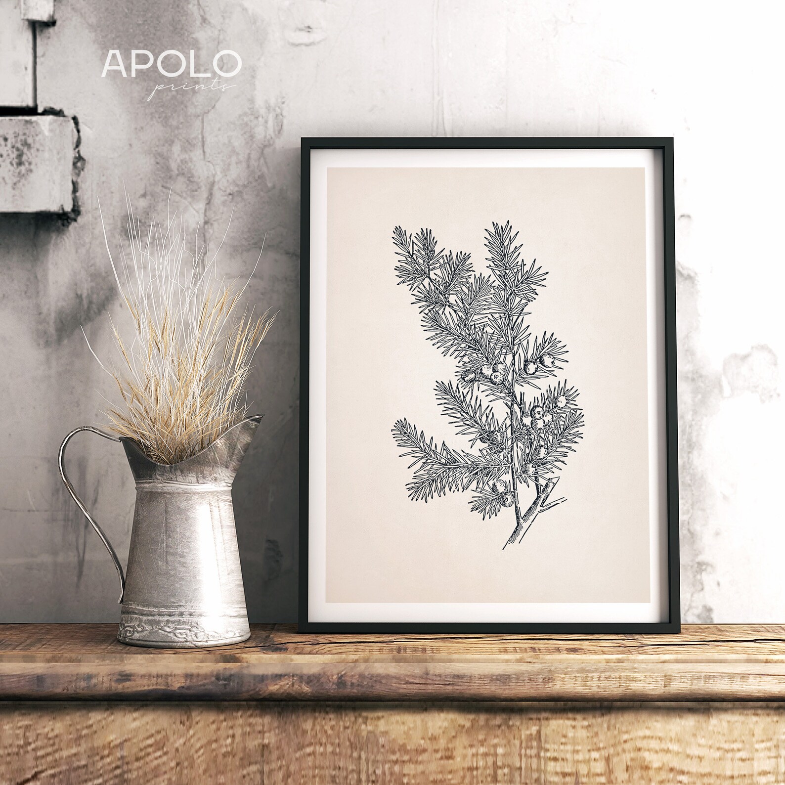 Botanical Print Juniper Printable Art Juniper Branch Print Etsy