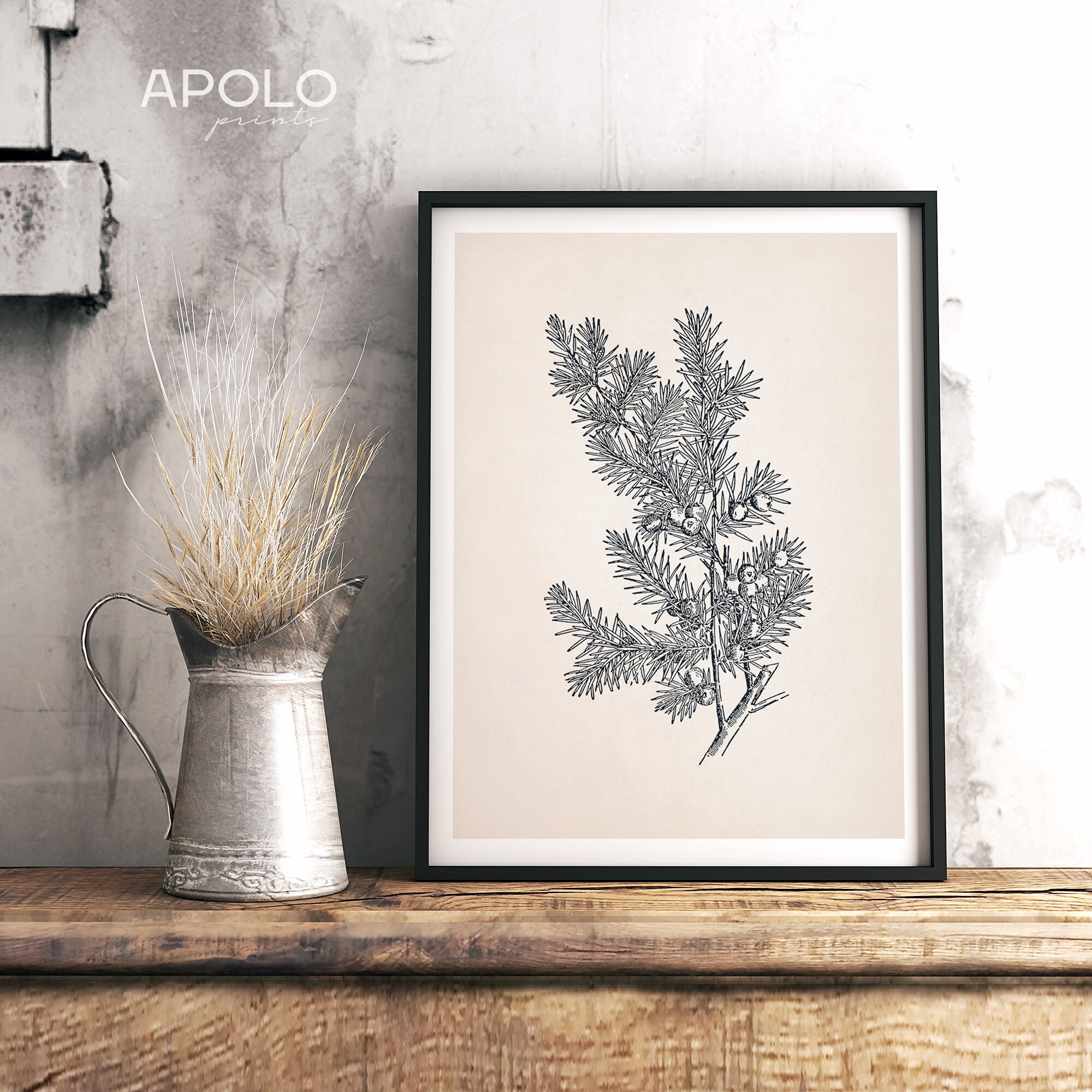 Botanical Print Juniper Printable Art Juniper Branch Print | Etsy