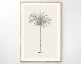 Vintage botanical sketch Botanical pencil drawing Vintage palm tree sketch Botanical drawing Simple artwork Palm tree drawing