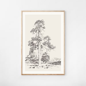 Old Pine Tree Sketch Print, Vintage Tree Drawing Enhanced, Printable Wall Art, Farmhouse Decor