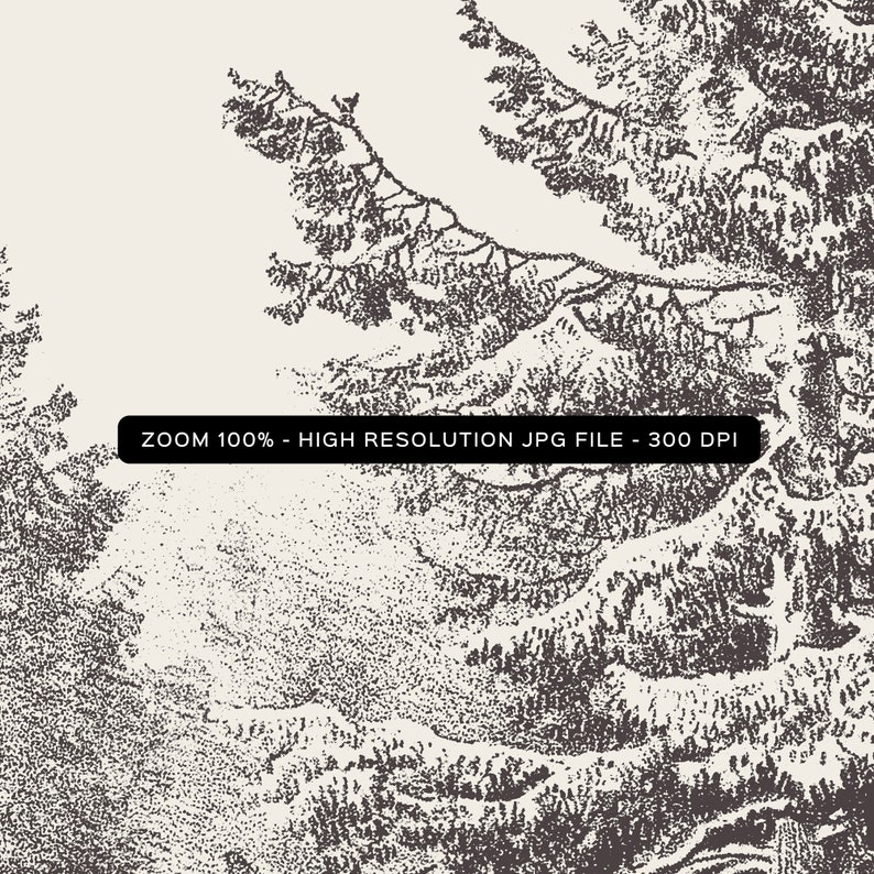 Op de afbeelding: Zwart-witte illustratie van een boslandschap met bomen en bergen. De afbeelding is in vintage stijl en heeft een korrelige textuur. ZOOM 100% - HIGH RESOLUTION JPG FILE - 300 DPI