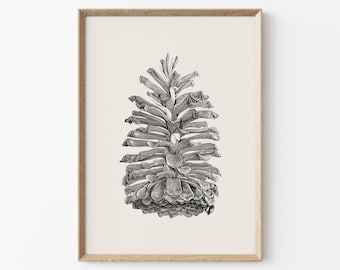 Longleaf Pine Cone Print, Pinecone Printable Art, Botanical Sketch Enhanced, Farmhouse Decor