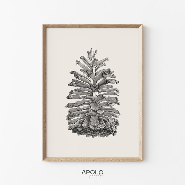 Longleaf Pine Cone Print, Pinecone Printable Art, Botanical Sketch Enhanced, Farmhouse Decor