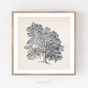 Hill Tree Sketch Print #105, Vintage Drawing Enhanced, Printable Digital Art, Farmhouse Wall Art