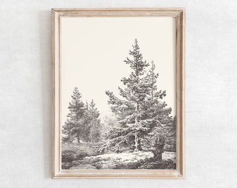 Hemlock Forest Print, Vintage Tree Drawing Enhanced, Printable Tree Art, Farmhouse Digital Print, Boho Wall Art