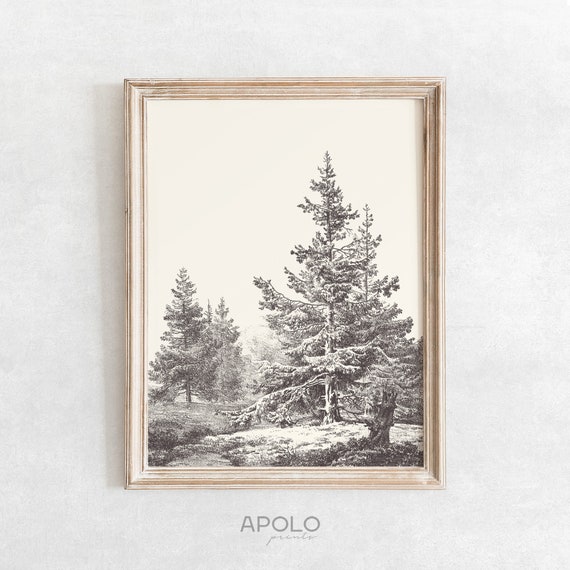 Hemlock Forest Print, Vintage Tree Drawing Enhanced, Printable Tree Art, Farmhouse Digital Print, Boho Wall Art