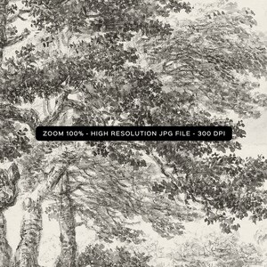 May include: Black and white illustration of a woodland scene with trees and branches. The image is a high-resolution JPG file with a resolution of 300 DPI. ZOOM 100% - HIGH RESOLUTION JPG FILE - 300 DPI