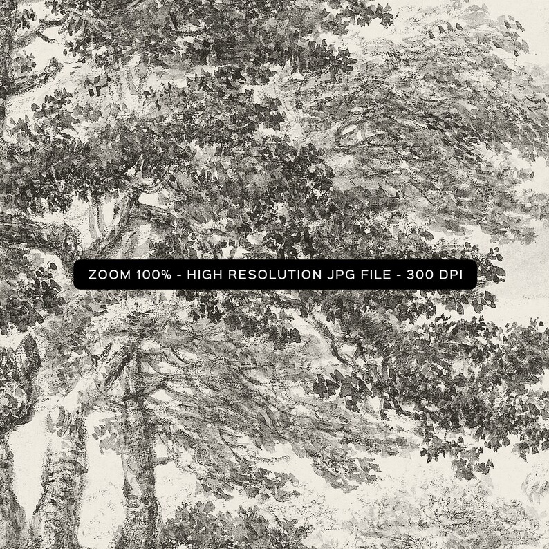 May include: Black and white illustration of a woodland scene with trees and branches. The image is a high-resolution JPG file with a resolution of 300 DPI. ZOOM 100% - HIGH RESOLUTION JPG FILE - 300 DPI