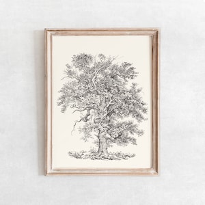 May include: A black and white line drawing of a large tree with branches and leaves, framed in a light wood frame.