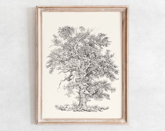 English Oak Tree Sketch Print, Vintage Neutral Drawing Enhanced, Printable Wall Art, Digital Print