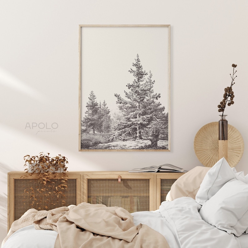 Op de afbeelding: Een zwart-witte illustratie van drie dennenbomen in een bosrijke omgeving. De illustratie is ingelijst en hangt aan een witte muur boven een houten dressoir met een front van geweven rotan.