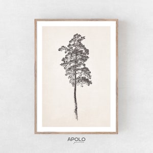 Vintage Pine Tree Sketch: Printable Wall Art (Digital Download)