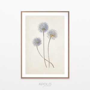Garlic Blossoms Print, Printable Botanical Art, Vintage Flower Drawing Enhanced, Kitchen Wall Art