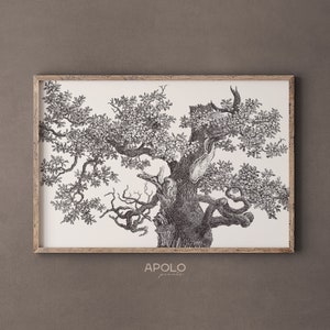 Printable Oak Tree Top Wall Art, Vintage Tree Drawing Enhanced, Printable Tree Art, Downloadable Print