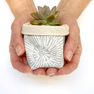 May include: A small succulent plant in a white fabric pot with a gray floral pattern. The pot is being held in two hands.