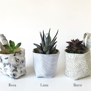 May include: Three small fabric planters, each containing a succulent plant. The planters are grey and white with different patterns: floral, wavy lines, and a sunburst design. Each planter has a loop handle. The names "Rosa", "Luna", and "Burst" are printed below each planter.
