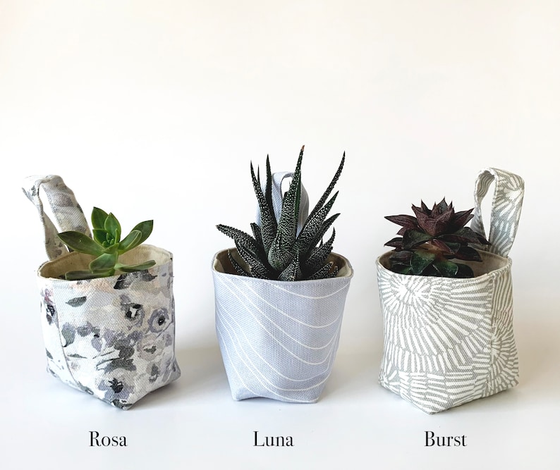 May include: Three small fabric planters, each containing a succulent plant. The planters are grey and white with different patterns: floral, wavy lines, and a sunburst design. Each planter has a loop handle. The names "Rosa", "Luna", and "Burst" are printed below each planter.