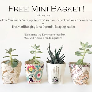 May include: Four small potted succulents with unique fabric-covered pots. The pots feature floral, geometric, and eye-hand designs. The text at the top says "FREE MINI BASKET!" with instructions on how to get one.