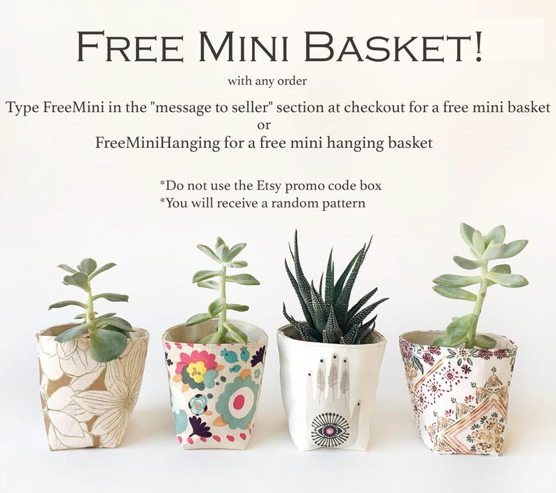 May include: Four small potted succulents with unique fabric-covered pots. The pots feature floral, geometric, and eye-hand designs. The text at the top says "FREE MINI BASKET!" with instructions on how to get one.