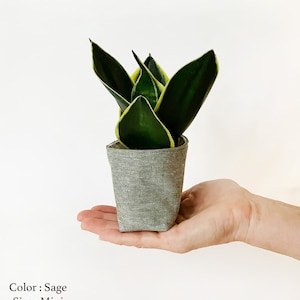 May include: A small potted snake plant with dark green leaves and yellow edges. The plant is in a sage-colored fabric pot. The pot is held in a hand against a white background. The text on the image says "Color: Sage" and "Size: Mini".