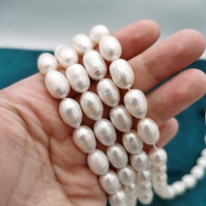 Pre-Order Aa+ 10-11mm oval freshwater rice pearls, long rice pearl strand top drilled, 1 full pearl strand