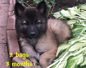 Bronson&#39;s Mega Puffs - Monthly Subscription - 2 bags - 3 months - MegaEsophagus dog treats