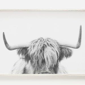 Modern Farmhouse Cow Print, Highland Cow Wall Art, Black and White Buffalo, Scottish Highland Cow Photography Animal Poster, Printable Cow