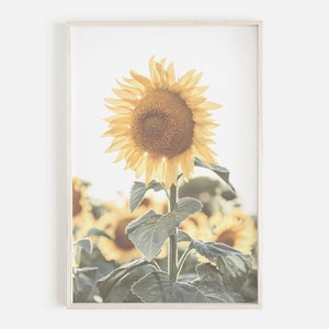 Sunflower Print, Sunflower Art Print, Modern Farmhouse Decor, Farmhouse Botanical Print, Yellow Floral Art, Sunflower Printable, Rustic Art