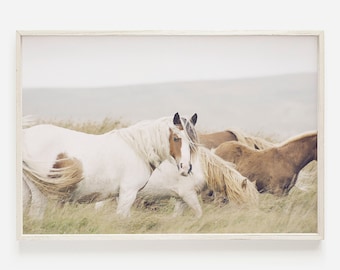 Pferd-Wand-Kunst, Pferd Kunst, Pferd Druck Kunst, große Pferd Druck, Boho Bauernhaus Dekor, Bauernhaus Poster, Pferd bedruckbar, Pferd Fotografie