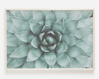 Teal Blue Succulent Print, Botanical Print, Cactus Printable Art, Fine Art Photo, Printable Art, Modern Minimalist Poster, Instant Download