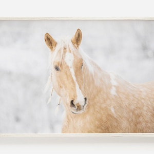 Horse Print, Horse Wall Art, Wild Horse Print, Landscape Poster, Horse Photography, Printable Wall Art, Digital Download Art, Wilderness Art