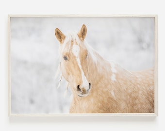 Impresión del caballo, arte de la pared del caballo, impresión del caballo salvaje, cartel del paisaje, fotografía del caballo, arte de la pared imprimible, arte de la descarga digital, arte de la naturaleza