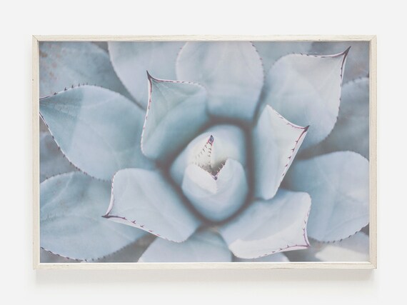 Succulent Printable Blue Wall Art Succulent Art Print | Etsy