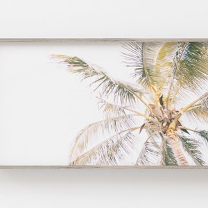 Samsung Frame TV Art | Tropical Palms Digital Art | Palm Tree Art for Frame TV | Beach Digital Art | Coastal Photography | Instant Download