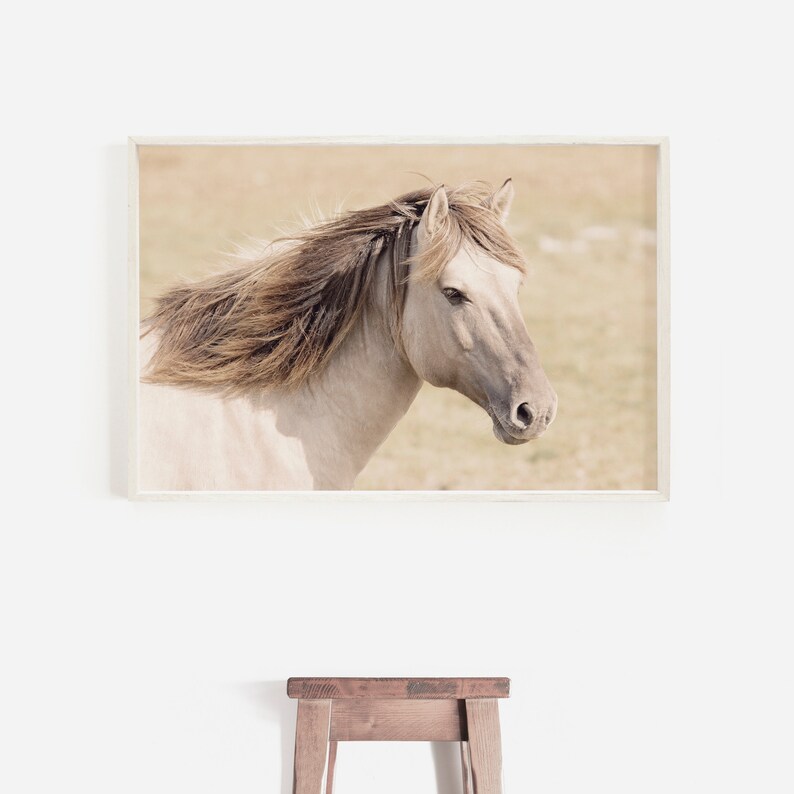 Peut inclure: Un cheval blanc avec une crini&egrave;re longue et flottante se tient dans un champ d'herbe haute. La t&ecirc;te du cheval est tourn&eacute;e sur le c&ocirc;t&eacute; et ses yeux sont ferm&eacute;s. La robe du cheval est d'une couleur cr&egrave;me claire et sa crini&egrave;re est d'une nuance de brun plus fonc&eacute;.