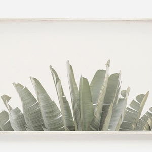 Banana Leaf Print, Tropical Print, Palm Leaf Print, Large Wall Art, Horizontal Wall Art, Tropical Wall Art, Horizontal Print, Palm Print