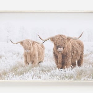 Highland Cow Printable Art, Winter Wall Art, Holiday Home Decor, Bison Poster, Snowy Winter Scene, Farmhouse Printable, DIGITAL DOWNLOAD