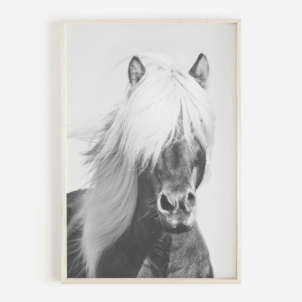 Black and White Horse Prints Etsy Australia