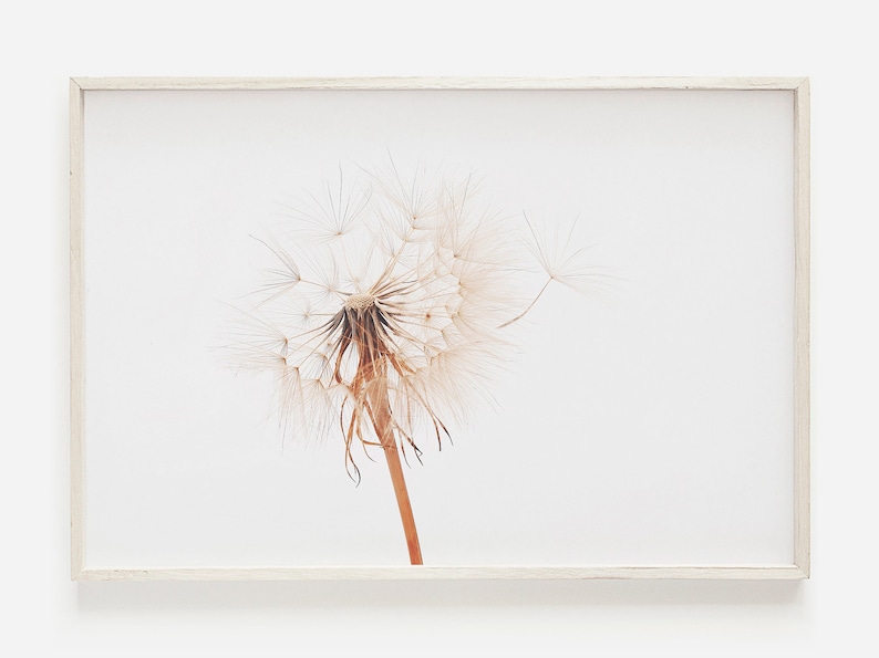 Modern Farmhouse Dandelion Print Dandelion Wall Art Rustic Etsy