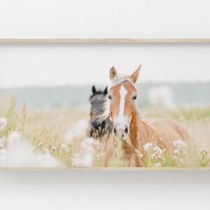 Samsung Frame TV Art | Horse Art for Frame TV | Neutral Tv Decor | Samsung Download | Farmhouse Art Frame TV | Running Horses Samsung Frame
