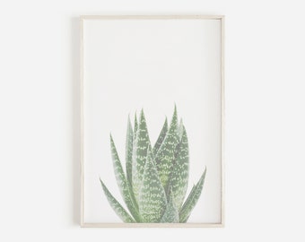 Sukkulenten druckbare, grüne Wandkunst, Natur Drucke, botanische Druck, druckbare Kunst, moderne minimalistische Poster, digitale Dateien, Wand-Dekor, Kunst