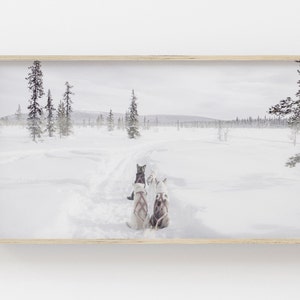 Samsung Frame TV Art Husky Dog Digital Art Winter Art for Frame TV Holiday Art Download Sled Dogs in Alaska Winter Wonderland image 1