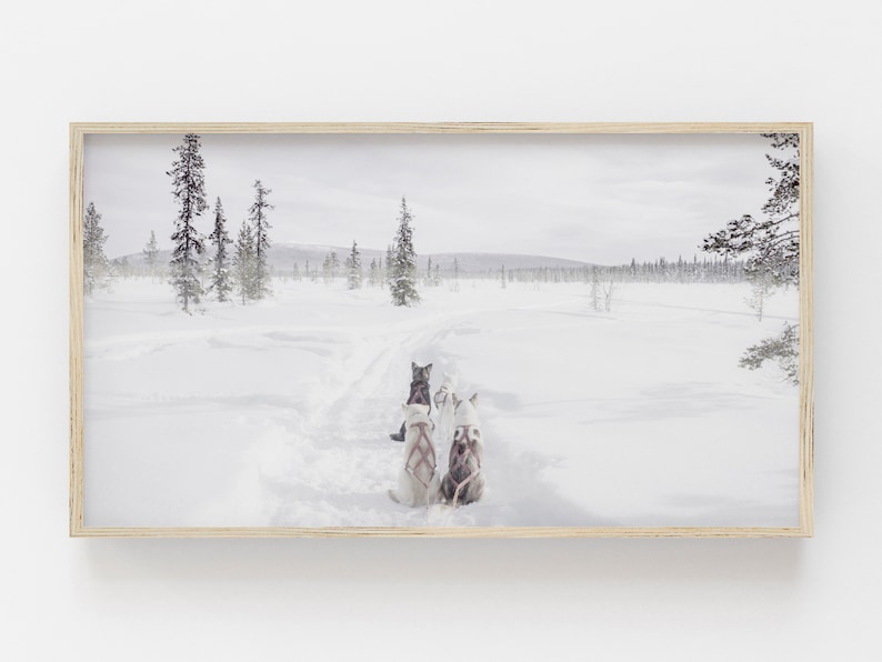 Samsung Frame TV Art Husky Dog Digital Art Winter Art for Frame TV Holiday Art Download Sled Dogs in Alaska Winter Wonderland image 1