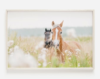 Farmhouse Horse Decor, Horse Photography, Horses Running in Field, Farmhouse Printable Art, Digital Download, Large Horse Poster